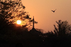 photo1